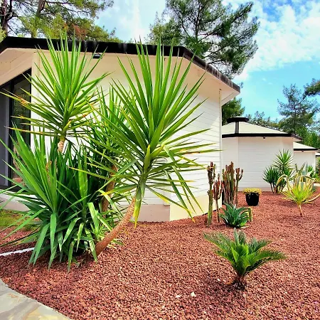 Aldeamento Turístico Nomad Adults Only